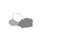 WAW Scholarship BW